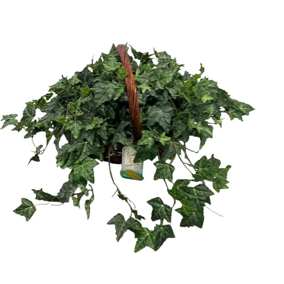 Set Of 2 Gold Leaf Collection Silk Artificial English Ivy Basket - Picture 7 of 11